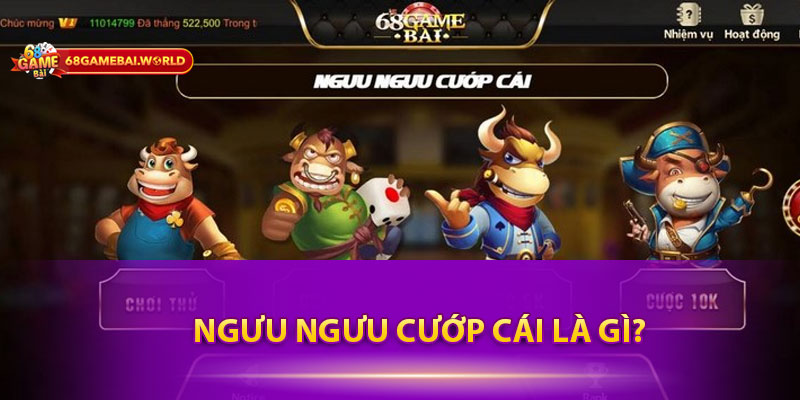 Ngưu Ngưu Cướp Cái Là Gì?