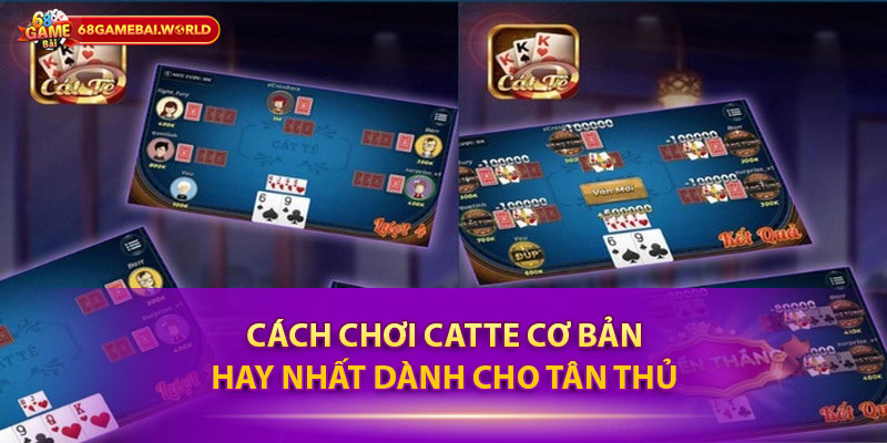 Cách chơi Catte cơ bản, hay nhất dành cho tân thủ