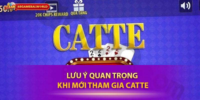 Lưu ý quan trọng khi mới tham gia Catte