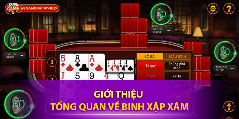 Giới thiệu tổng quan về binh xập xám